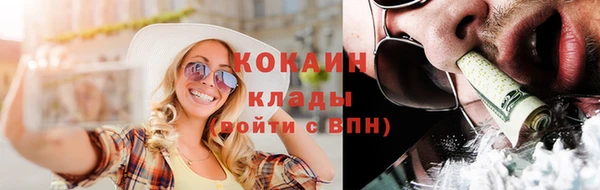 твердый Магас