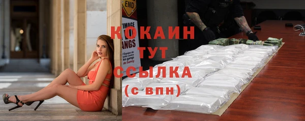 твердый Магас