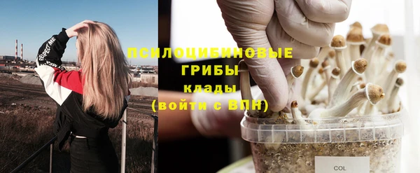 герыч Магадан