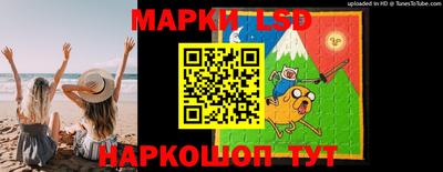 амф Новокубанск