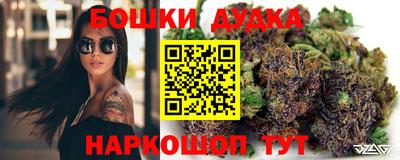 наркотики Новодвинск
