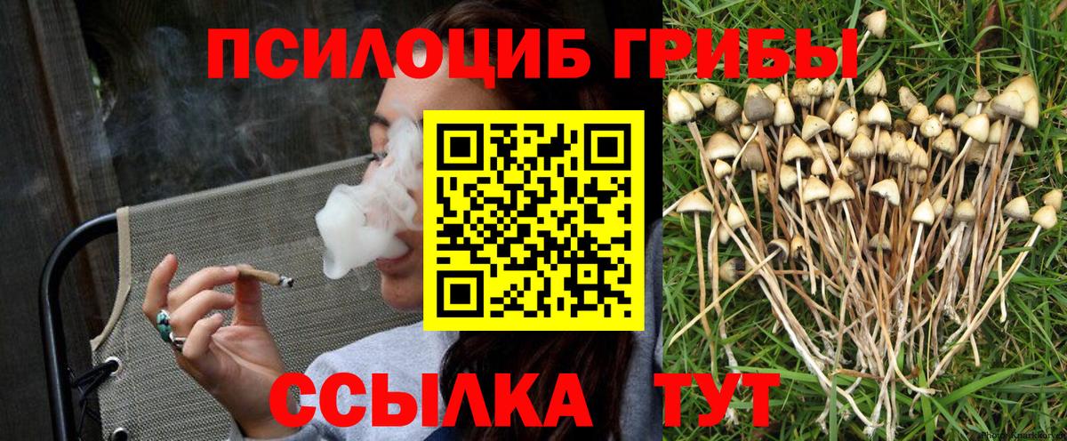Галлюциногенные грибы Magic Shrooms Южноуральск