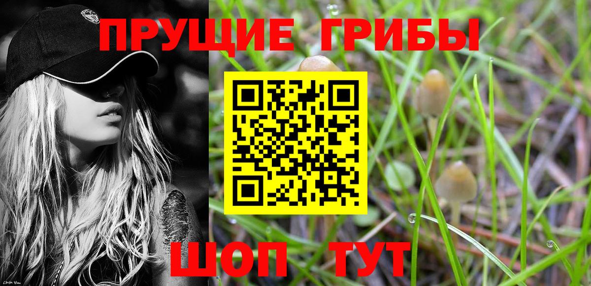 Галлюциногенные грибы Magic Shrooms Южноуральск