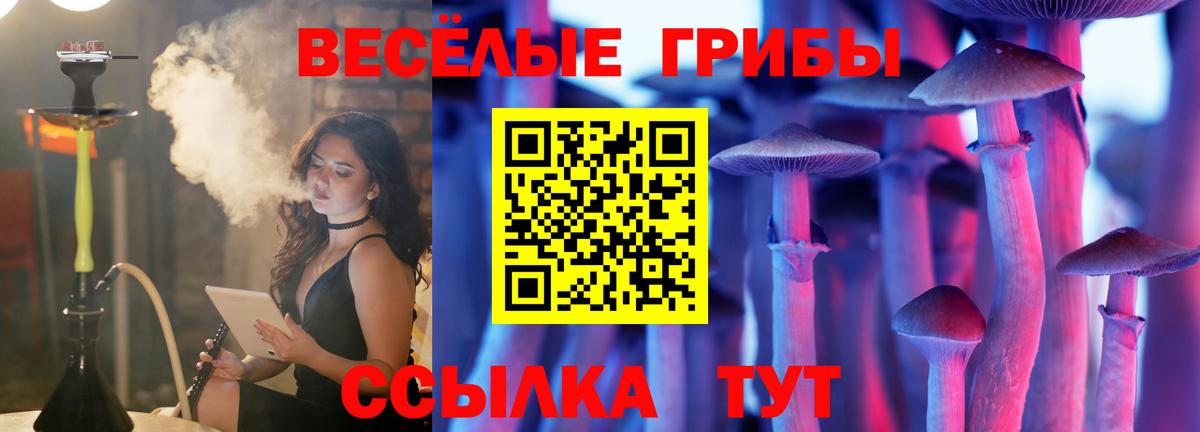 Псилоцибиновые грибы мухоморы  Галлюциногенные грибы Psilocybe  Южноуральск 